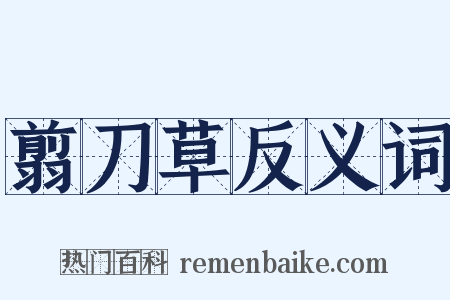 翦刀草反义词是什么意思的图片
